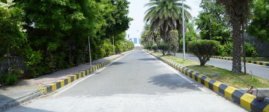 Campus road